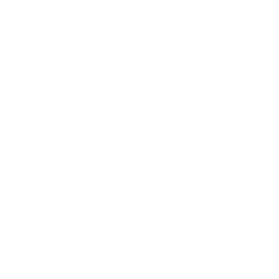 briefcase
